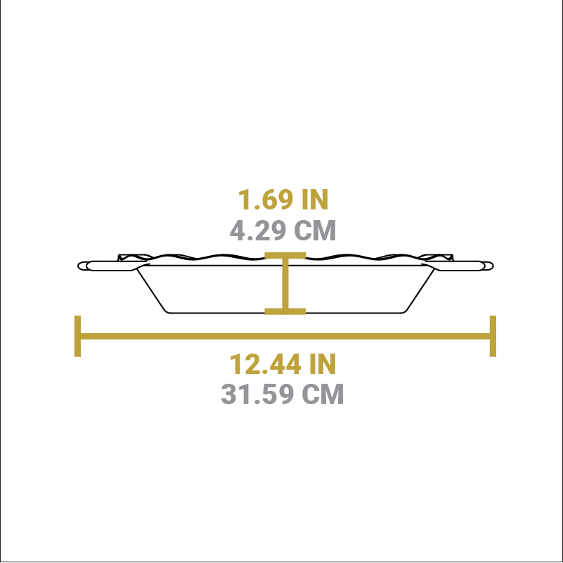 9 Inch Seasoned Cast Iron Pie Pan