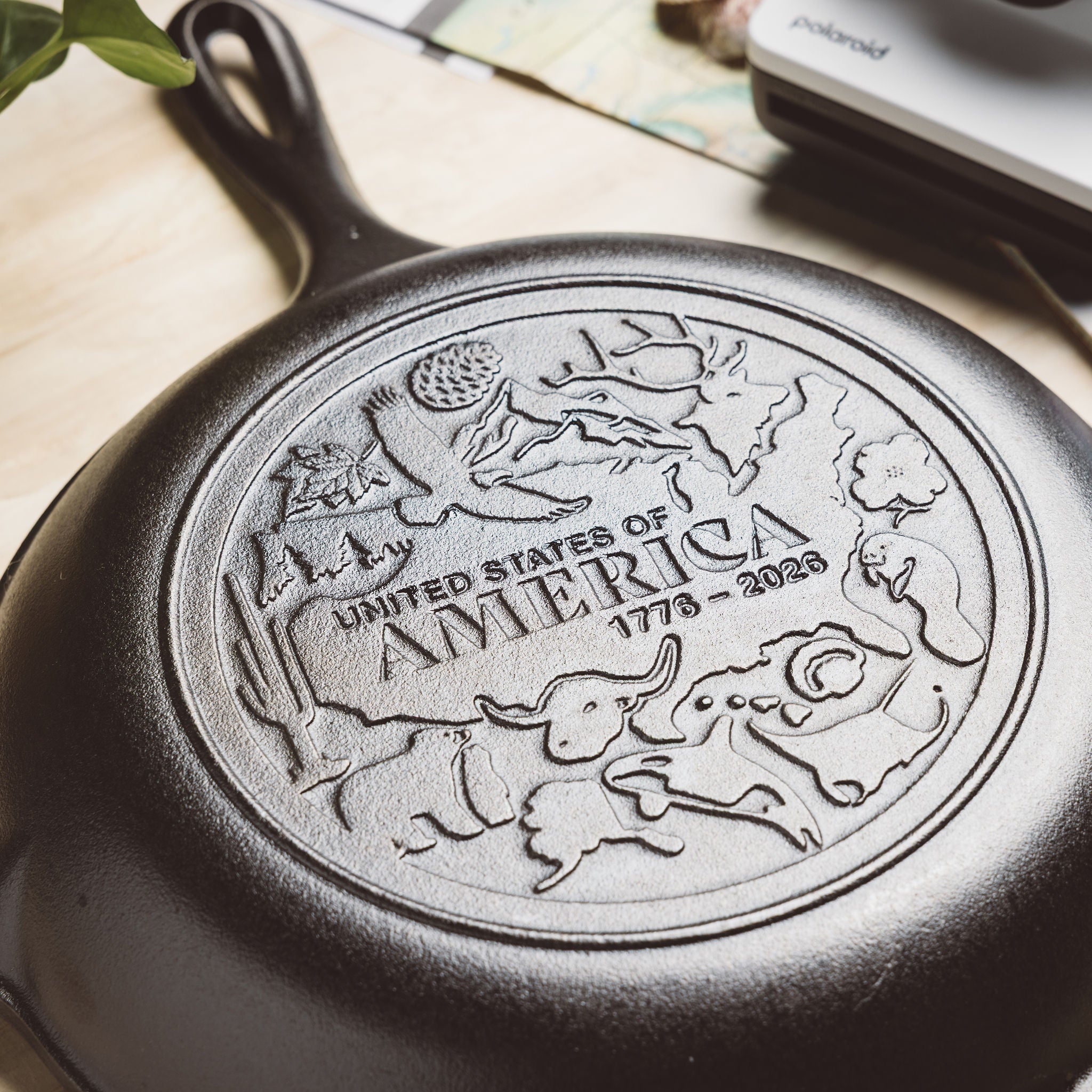 Lodge Chef Collection 10 Inch Seasoned Cast Iron Skillet. USA Frontier
